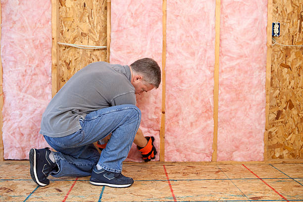 Best Blown-in Insulation in Webster, FL