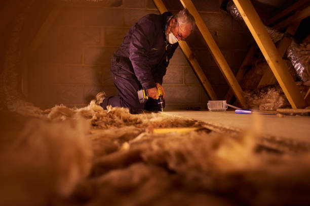 Best Cellulose Insulation in Webster, FL