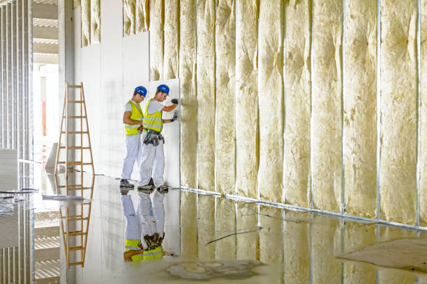 Trusted Webster, FL Insulation Contractor Experts